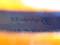VN0900-BRAND-WEB
